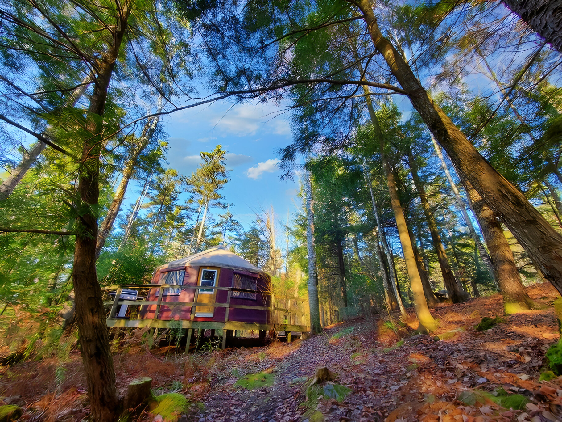 vue Mt. Orford, condo le Refuge Condo for rent in SaintÉtiennede