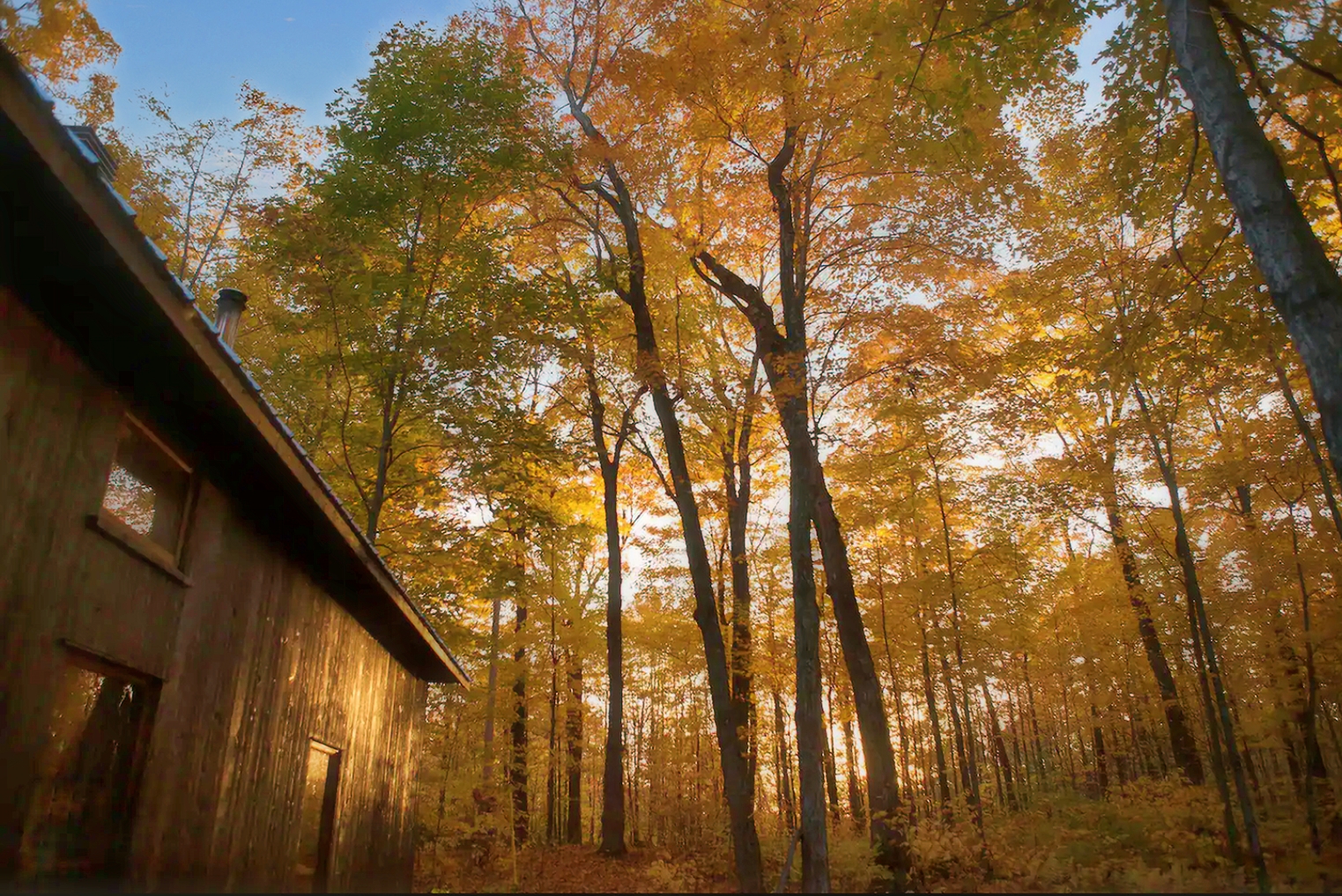 Le fort du StLaurent Home for rent in Grondines , Québec WeChalet