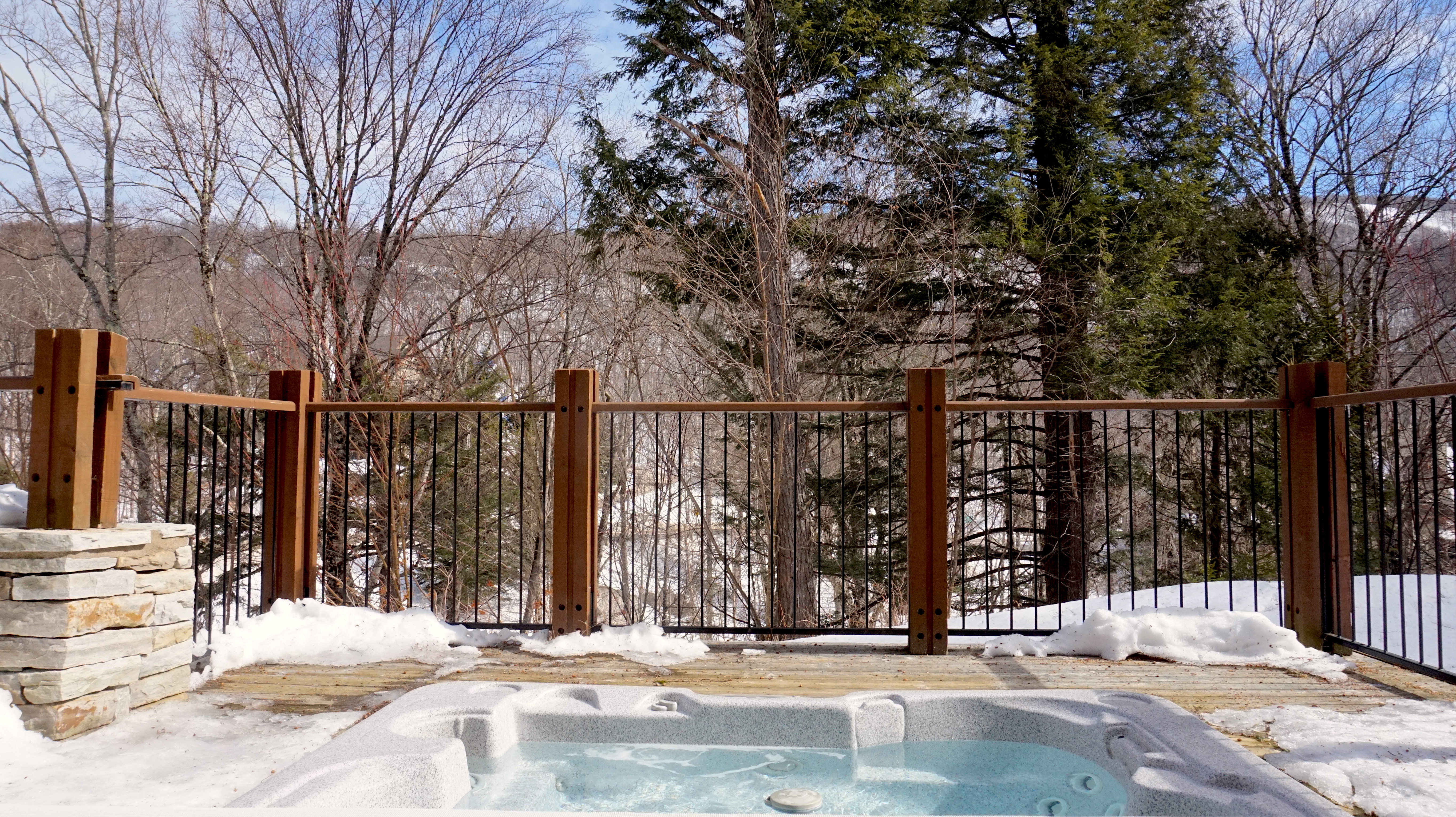 Cottages for Rent with Spa in Tremblant  ﻿#7