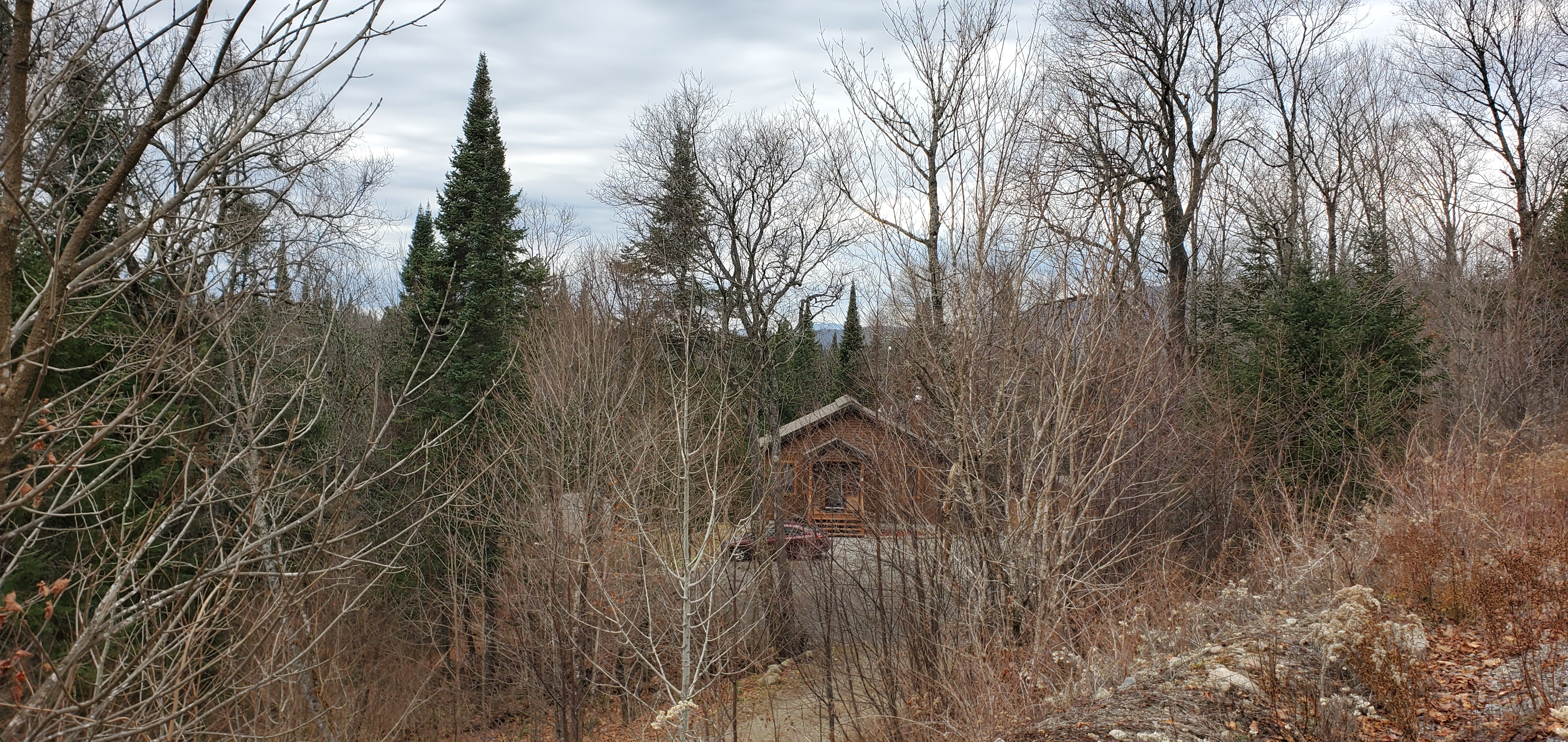 Waterfront cottages for rent in Laurentians #17